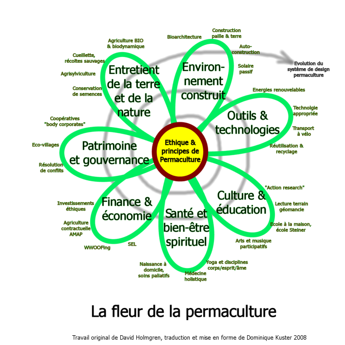 permaculture_flower_french